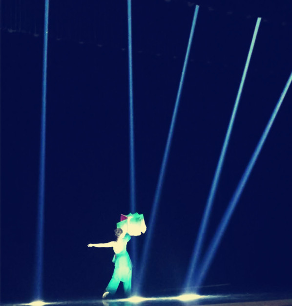 李枭香老师指导的学生参加全国职业技能大赛 (3).jpg